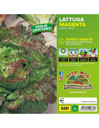 Plantas de lechuga Super...