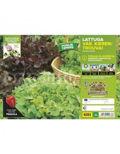 Oak Leaf Lettuce Plants Mix...