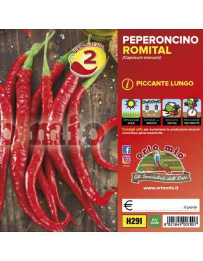 Long Hot Cayenne Pepper Plants