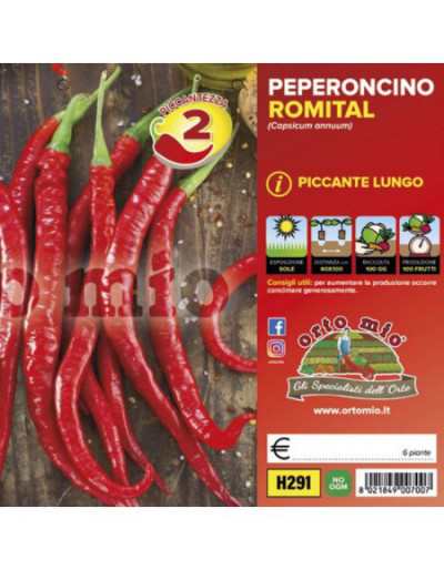 Piante di Peperoncino...