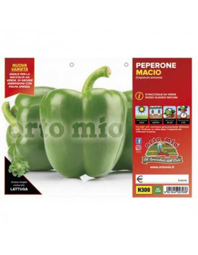 Piante di Peperone Verde...