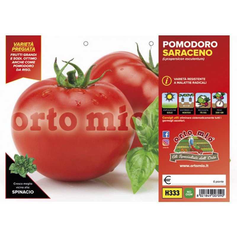 Piante di Pomodoro Tondo da...