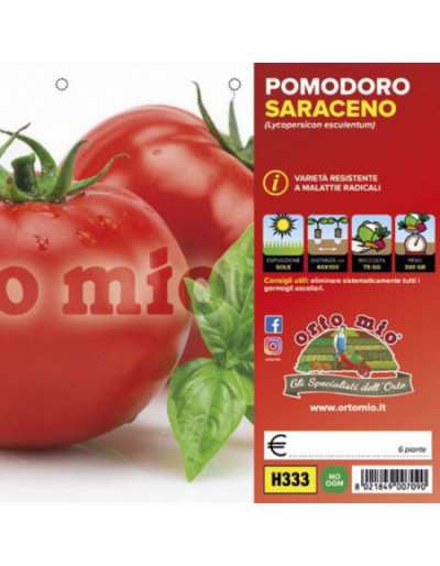 Piante di Pomodoro Tondo da...