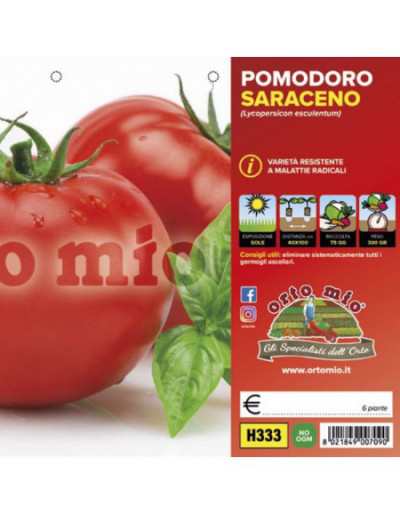 Saraceno Tondo Tomatplantor F1