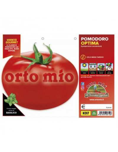 Tondo Tomatenplanten Optima F1