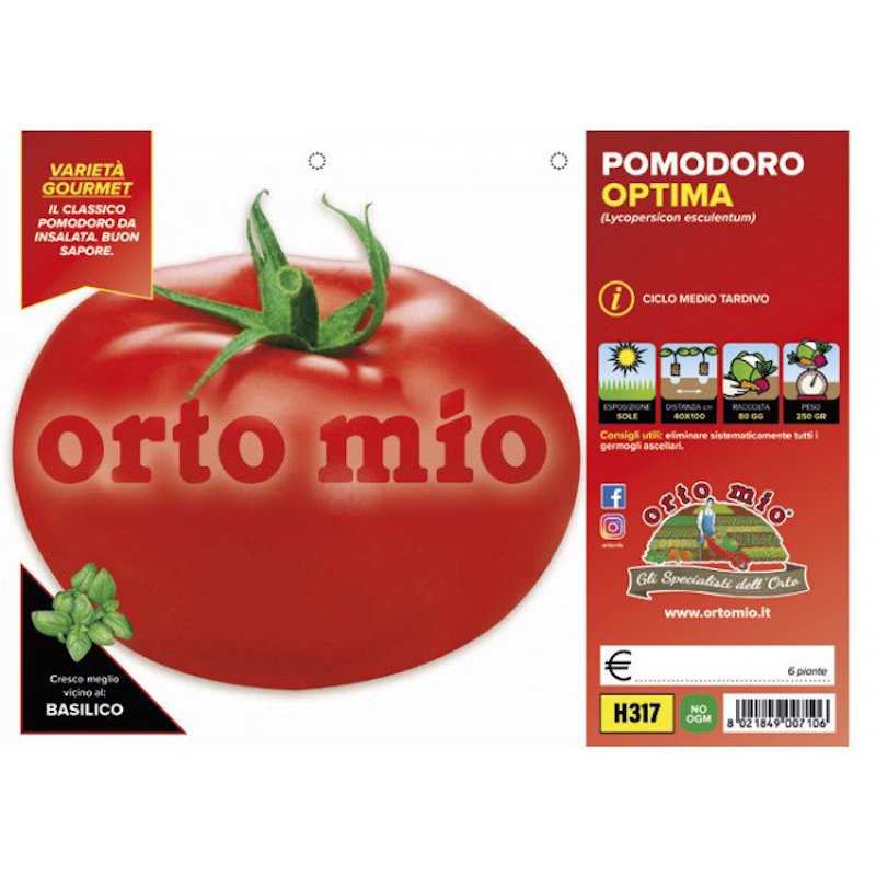 Tondo Tomato Plants Optima F1