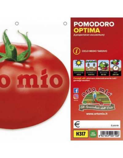 Piante di Pomodoro Tondo da...