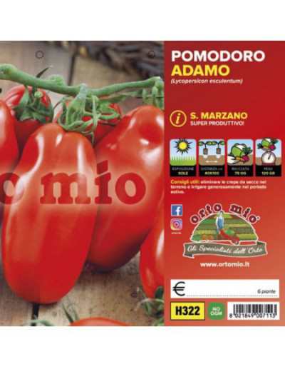 Piante di Pomodoro San...