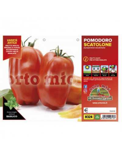 Plants de tomates San...