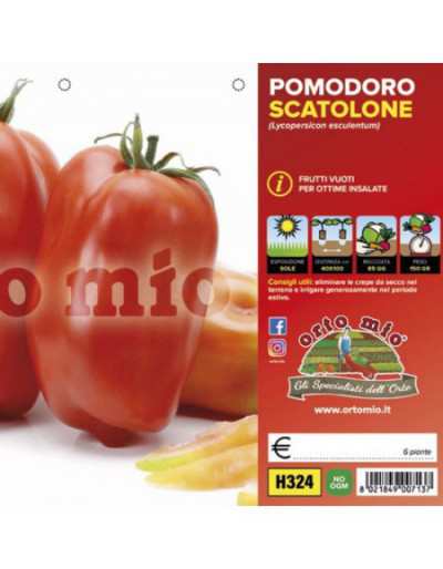 Piante di Pomodoro San...