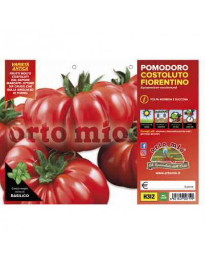 Plants de tomates Costoluto...