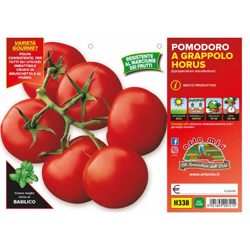 Plantas de tomate de racimo...