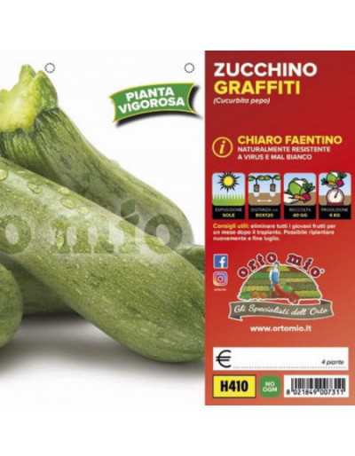 Piante di Zucchino Chiaro...