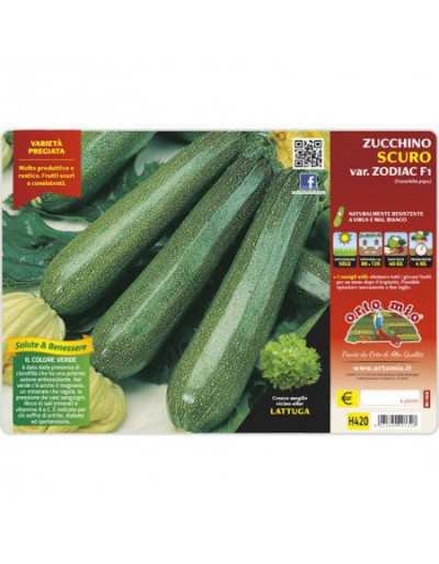 Piante di Zucchino Scuro...