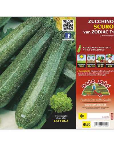 Piante di Zucchino Scuro...