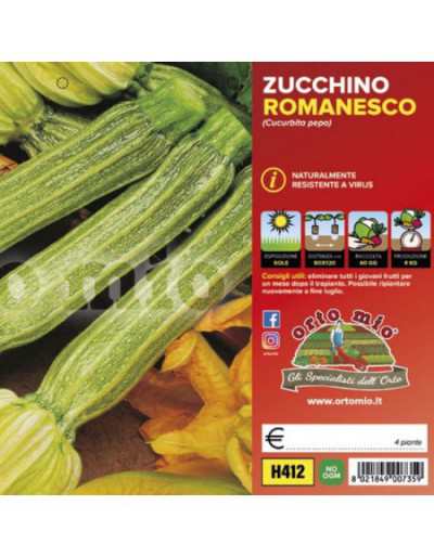 Växter av Zucchini...