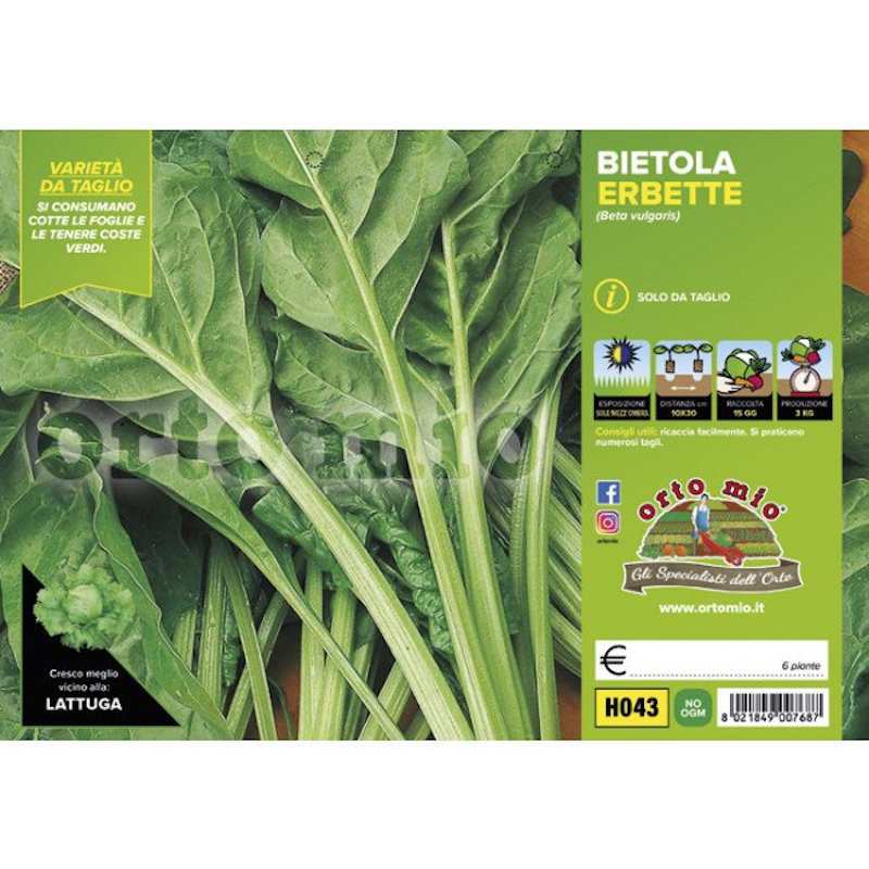 Chard plants and herbs for...