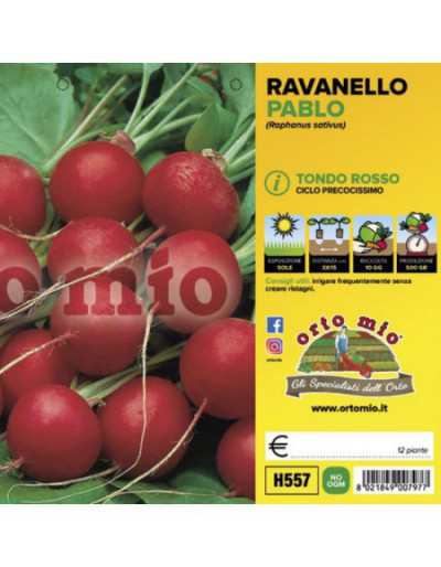 Ravanello Tondo Rosso Pablo