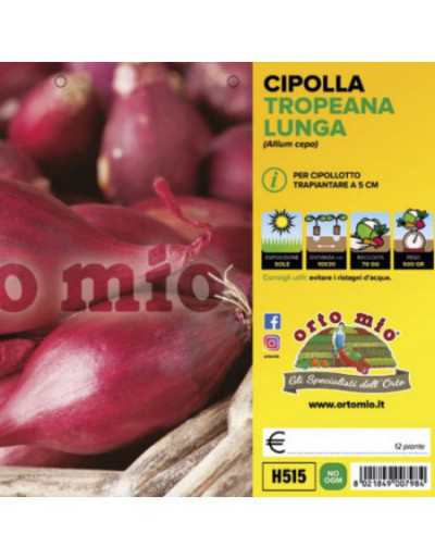 Tropeana Rossa Long Onion...