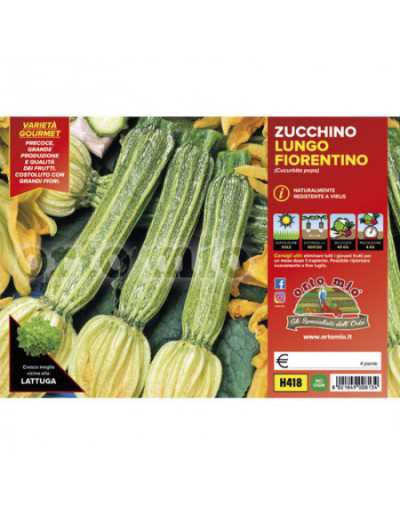 Växter av Zucchini Lungo...