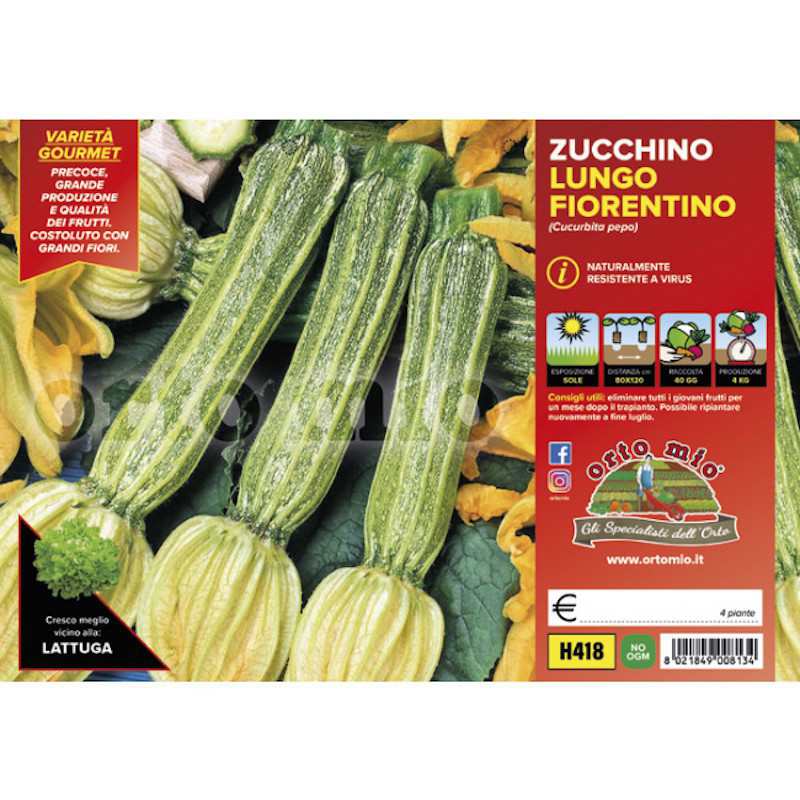 Växter av Zucchini Lungo...