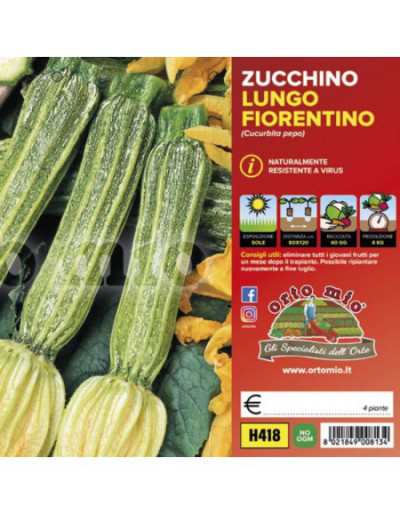 Pflanzen von Zucchini Lungo...