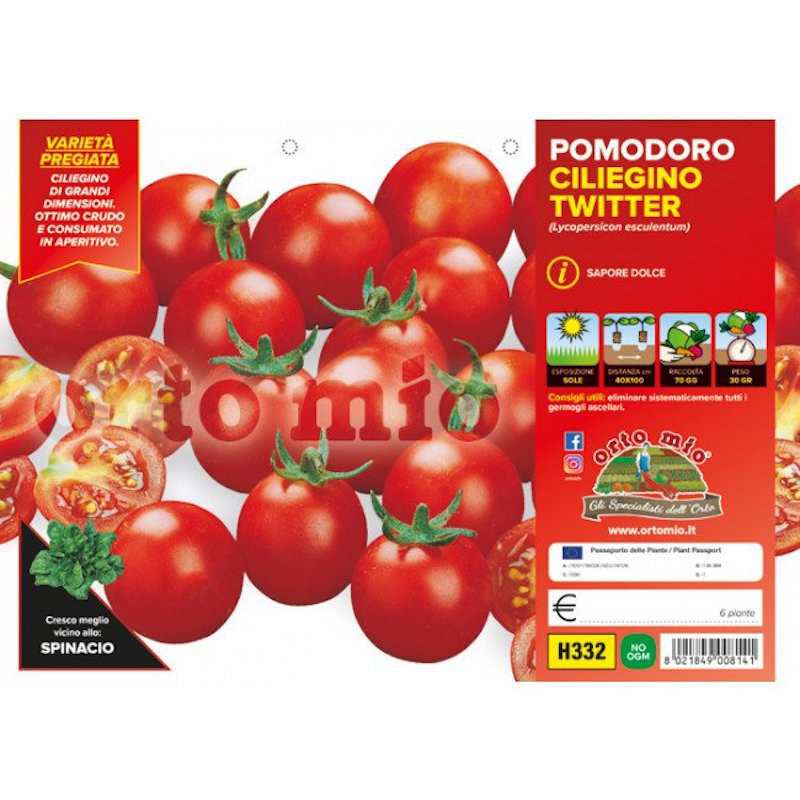Bingo de Plantas de Tomate...