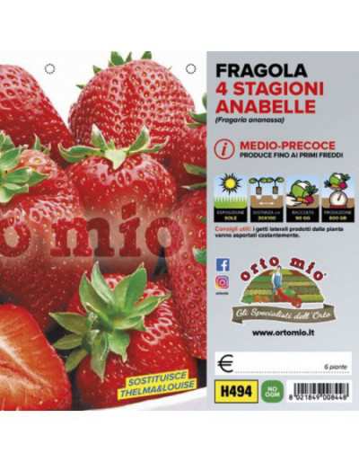 Piante di Fragola...