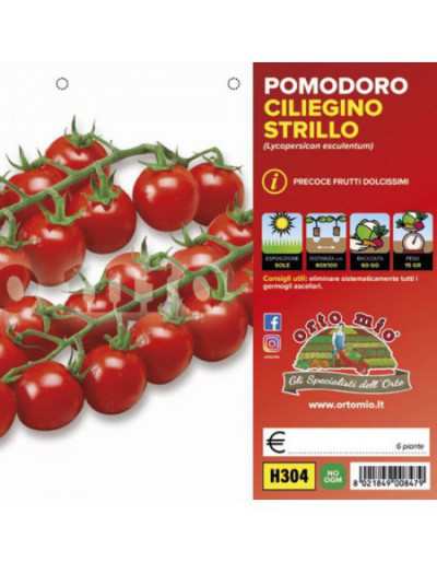 Pomidor czereśniowy Strillo F1