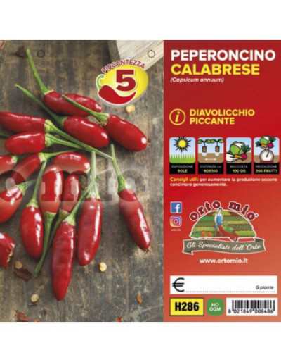 Piante di Peperoncino...