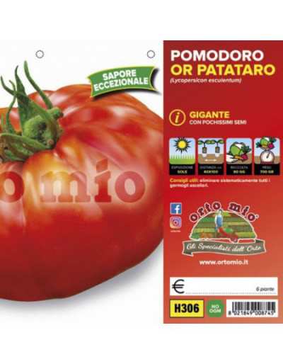 Piante di Pomodoro Gigante...