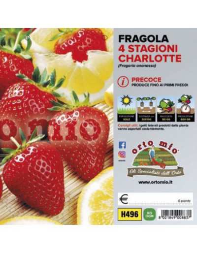 Piante di Fragola...