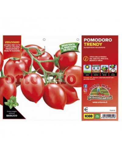 Plantas de tomate Vesuvian...