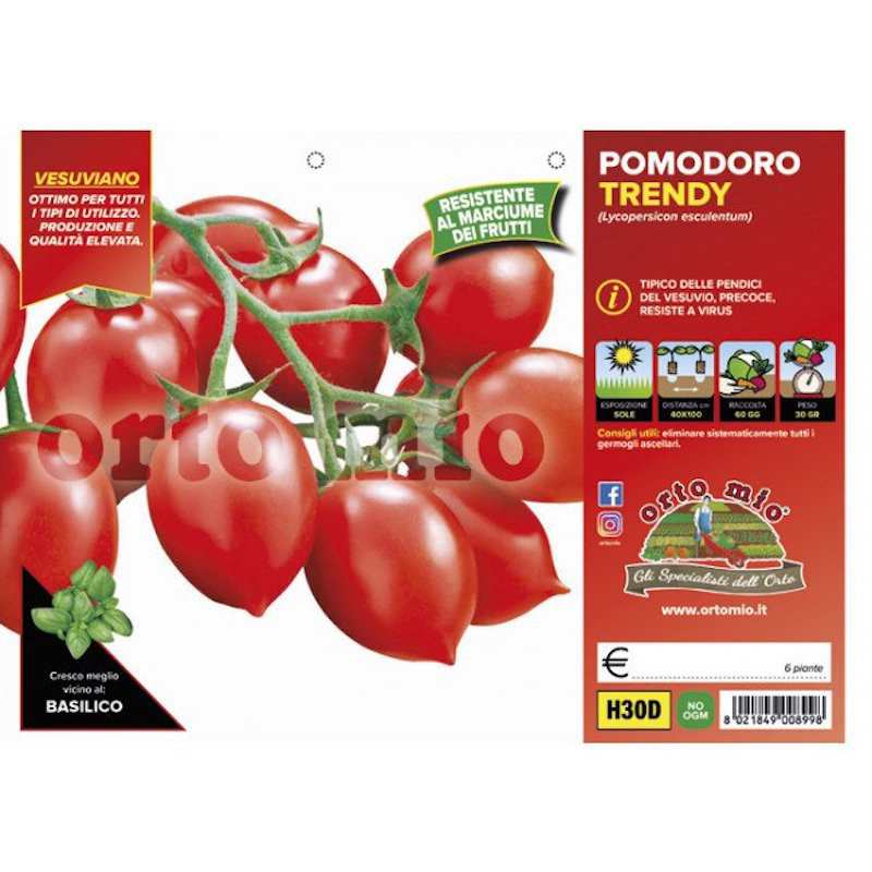 Trendy Vesuvian Tomato...