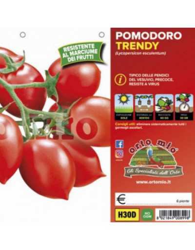 Plants de tomates...