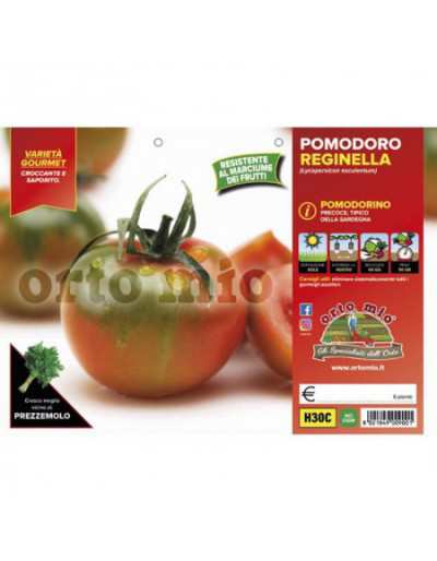 Tomate Ronde Sarde...