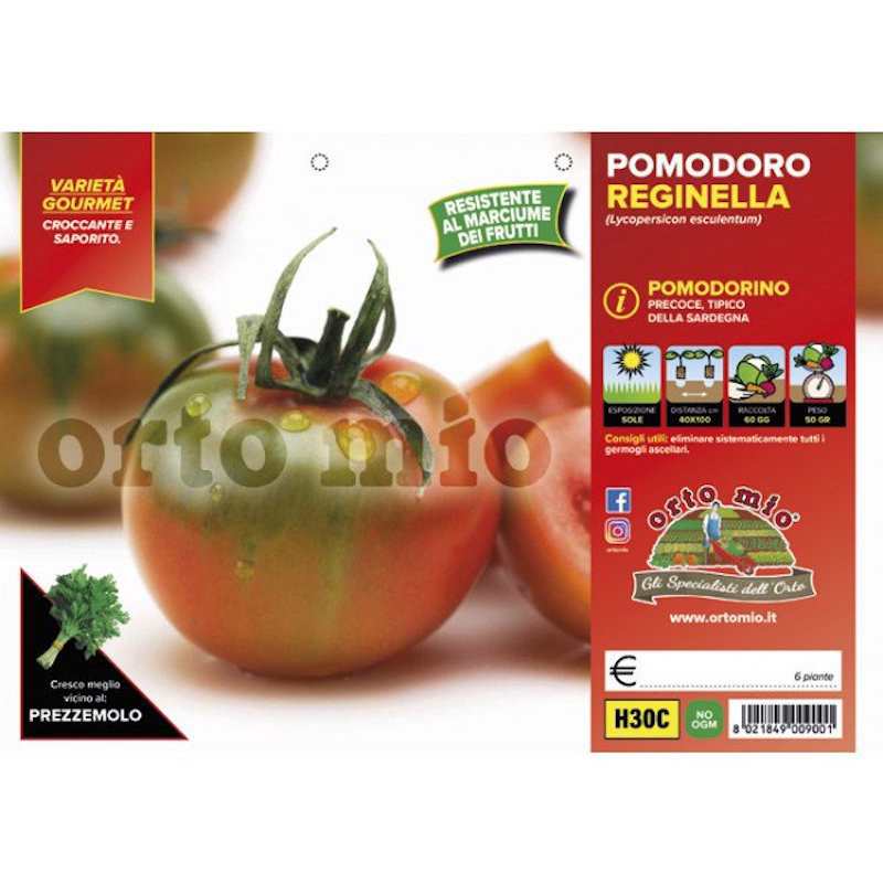 Sardenha Rodada Tomate...