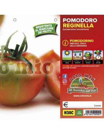 Tomate Ronde Sarde...