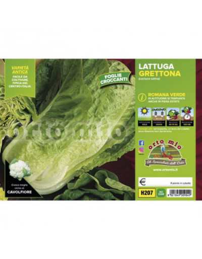 Green Grettona Roman Lettuce
