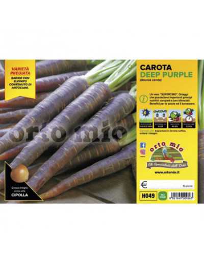 Carota Viola Deep Purple F1