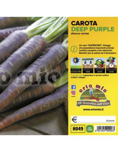 Carota Viola Deep Purple F1