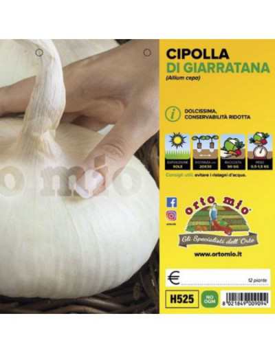 Cipolla Gigante di Giarratana