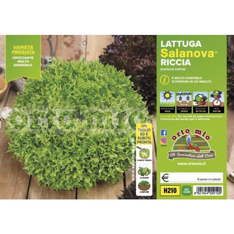 Lattuga Salanova Mix a... Lattuga Salanova Mix a...