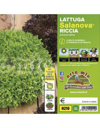 Lechuga Salanova Mix con...