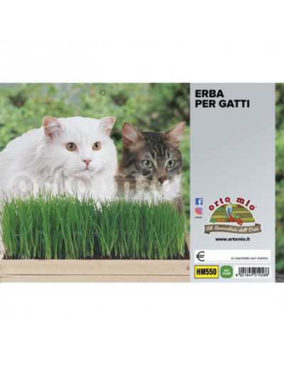 Kattgräs - Svängelblandning