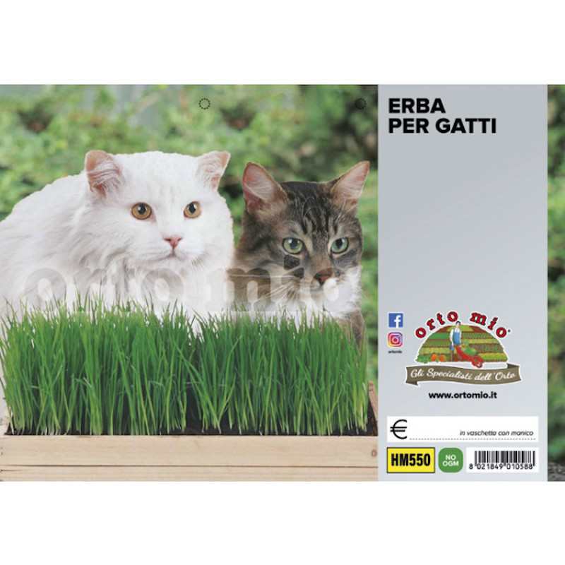 Kattgräs - Svängelblandning