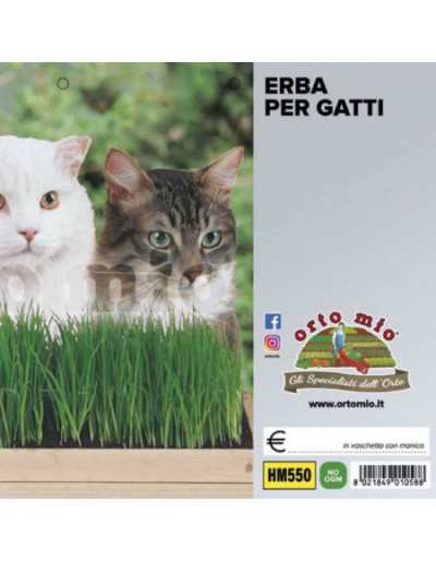 Erba Gatto - Miscuglio di...