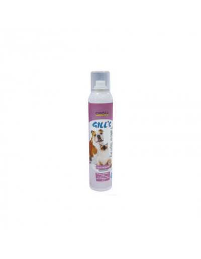 Deo Talk Spray Gilla