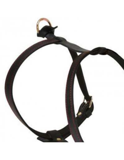 Harness Elite H in Leather...