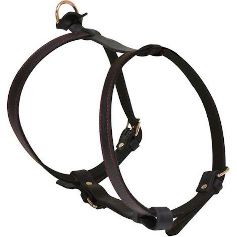 Harness Elite H in Leather...